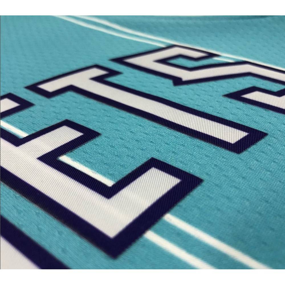 Men's Charlotte Hornets Hayward #20 Jordan Brand Blue 20/21 Swingman Jersey - Association Edition-Pro Kit Vault | Brand New 26/27 Sports Jerseys